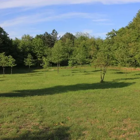 With A Parking Space Sveti Martin, Istria - Sredisnja Istra - 7634 Apartman *